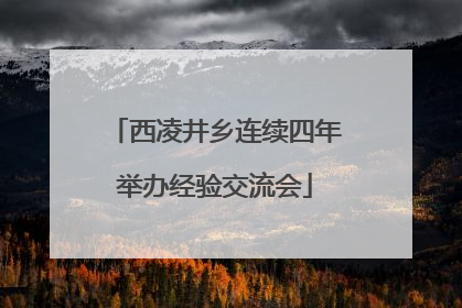 西凌井乡连续四年举办经验交流会